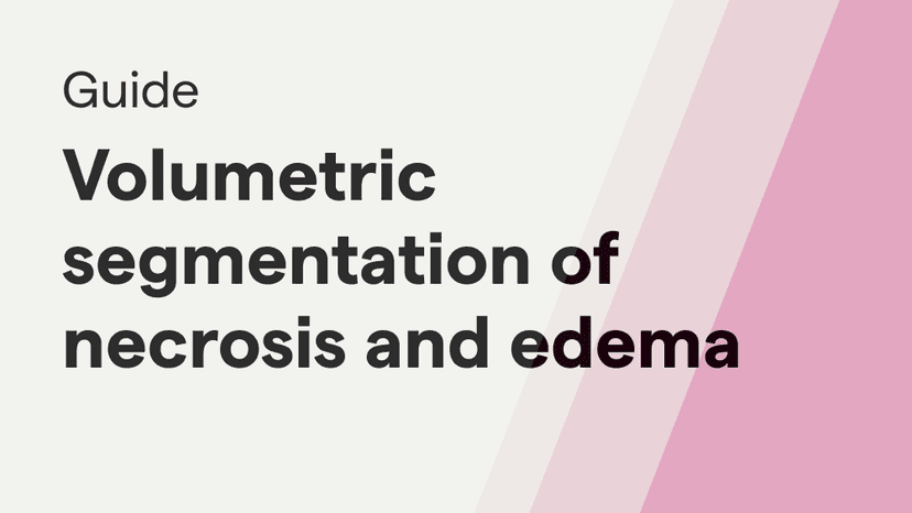 Guide: Volumetric Segmentation of Necrosis and Edema